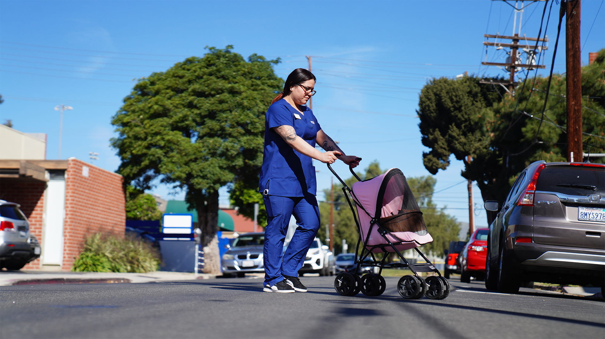 Vet tech with pet stroller