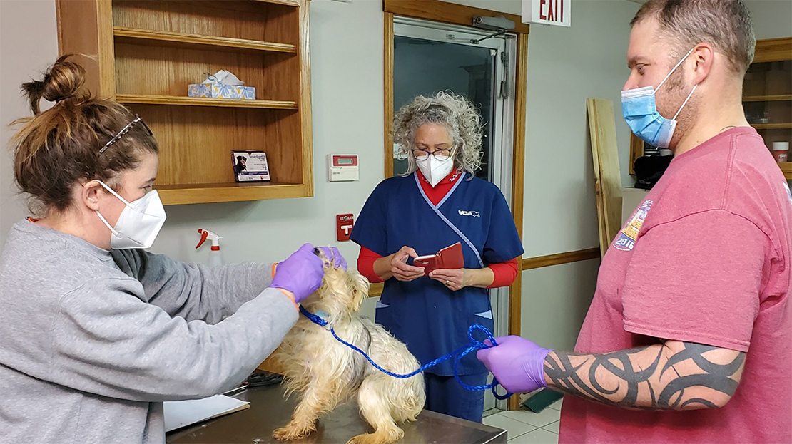 VCA Voice Oklahoma VCAs Partner with the Humane Society of Tulsa to Treat Dogs Rescued from Puppy Mill