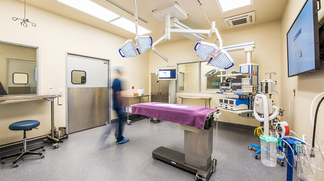 VCA West Coast Specialty and Emergency Animal Hospital Surgical Suite