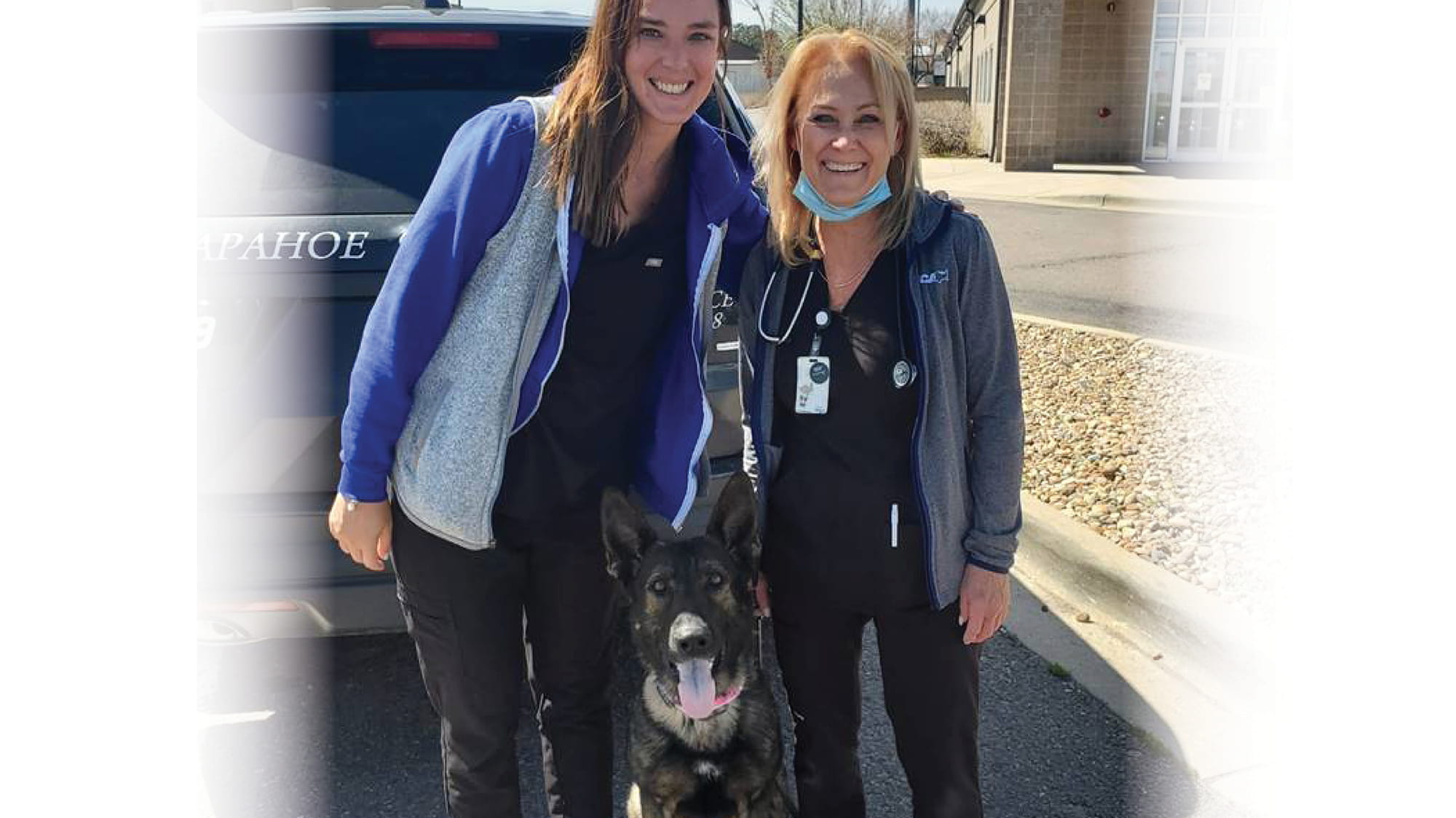 VCA Voice Roman Story