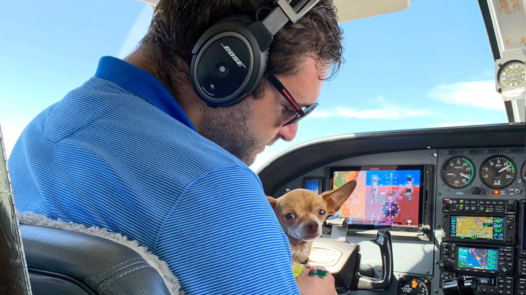 Dog with pilot