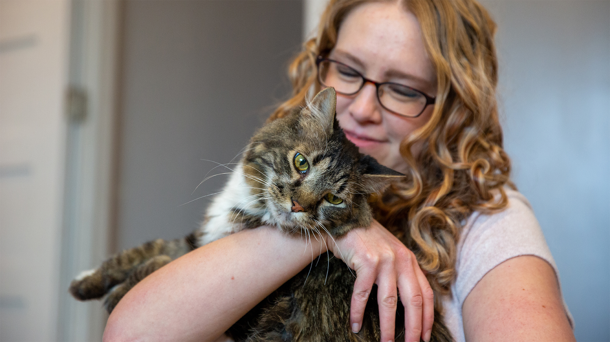 Tabby cat held by woman