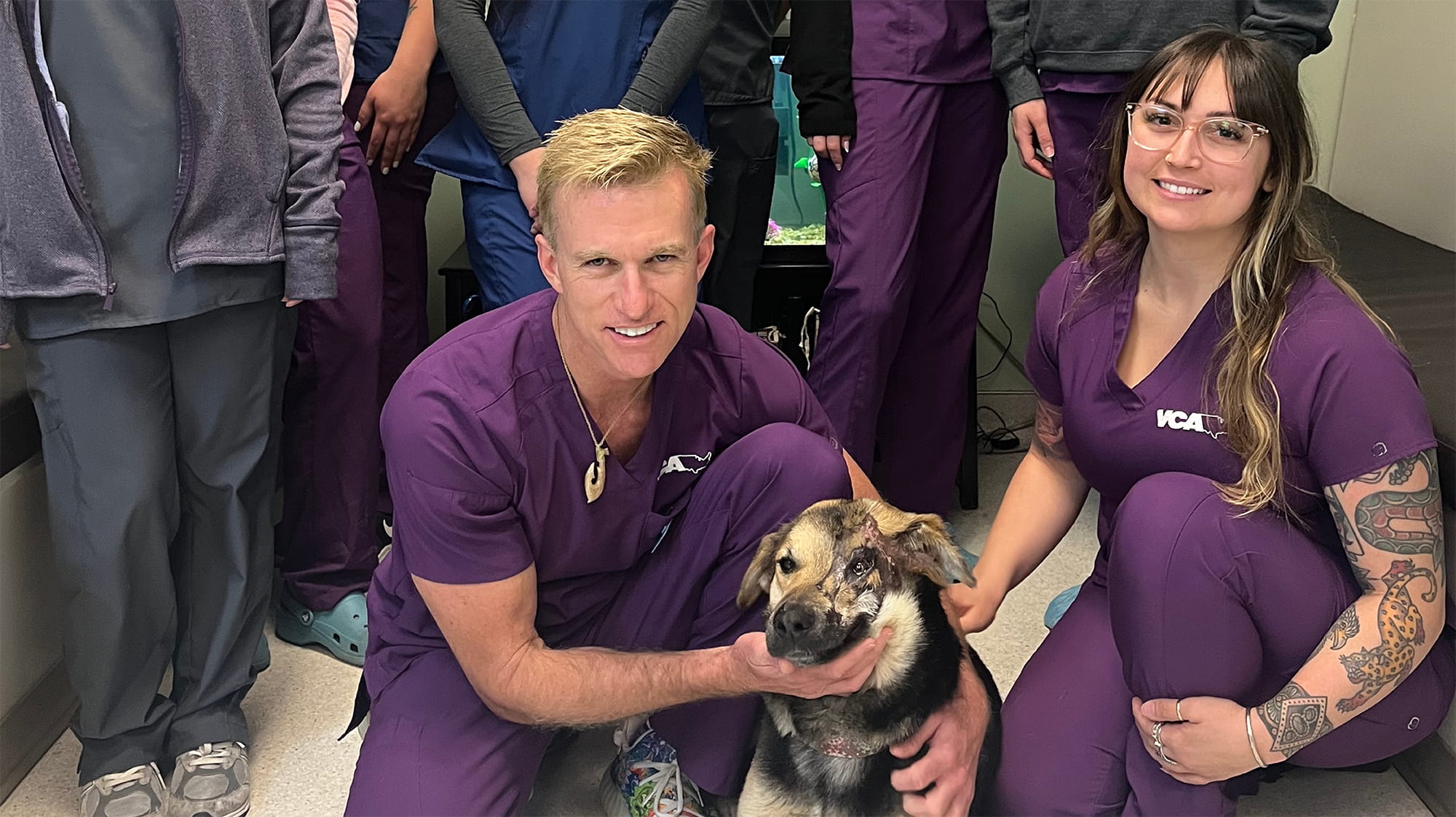 Welcome to the VCA Press Center | VCA Animal Hospitals