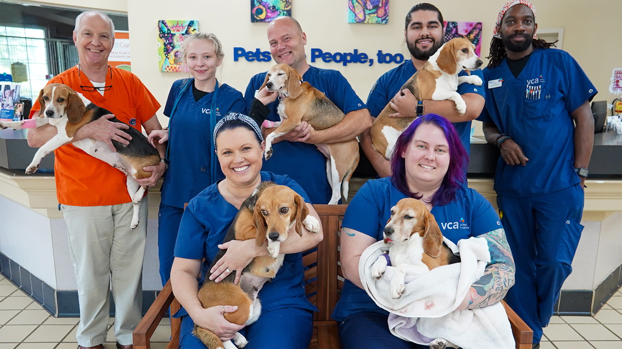 VCA Team with Beagles