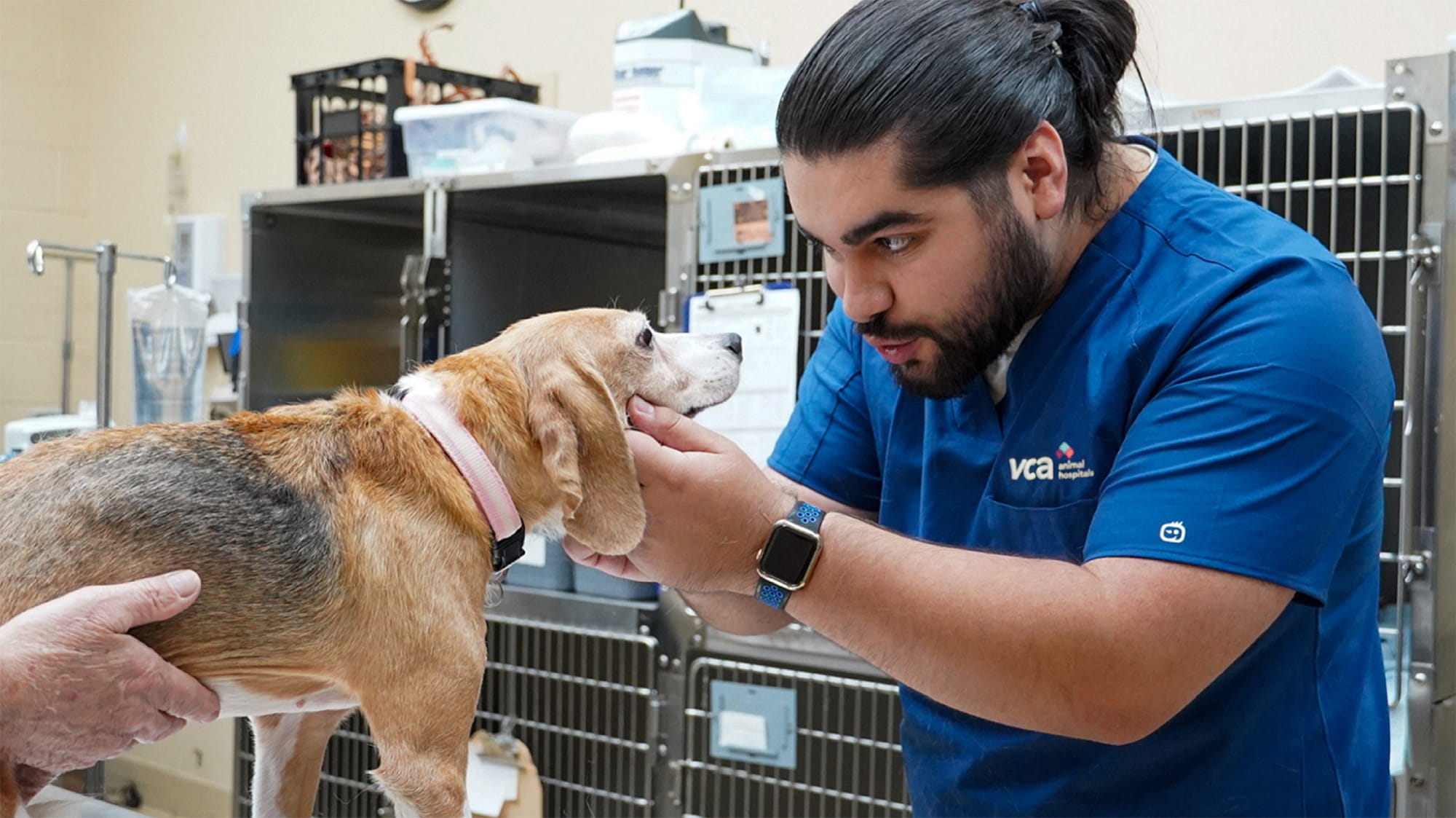 VCA Staff Member with Beagle