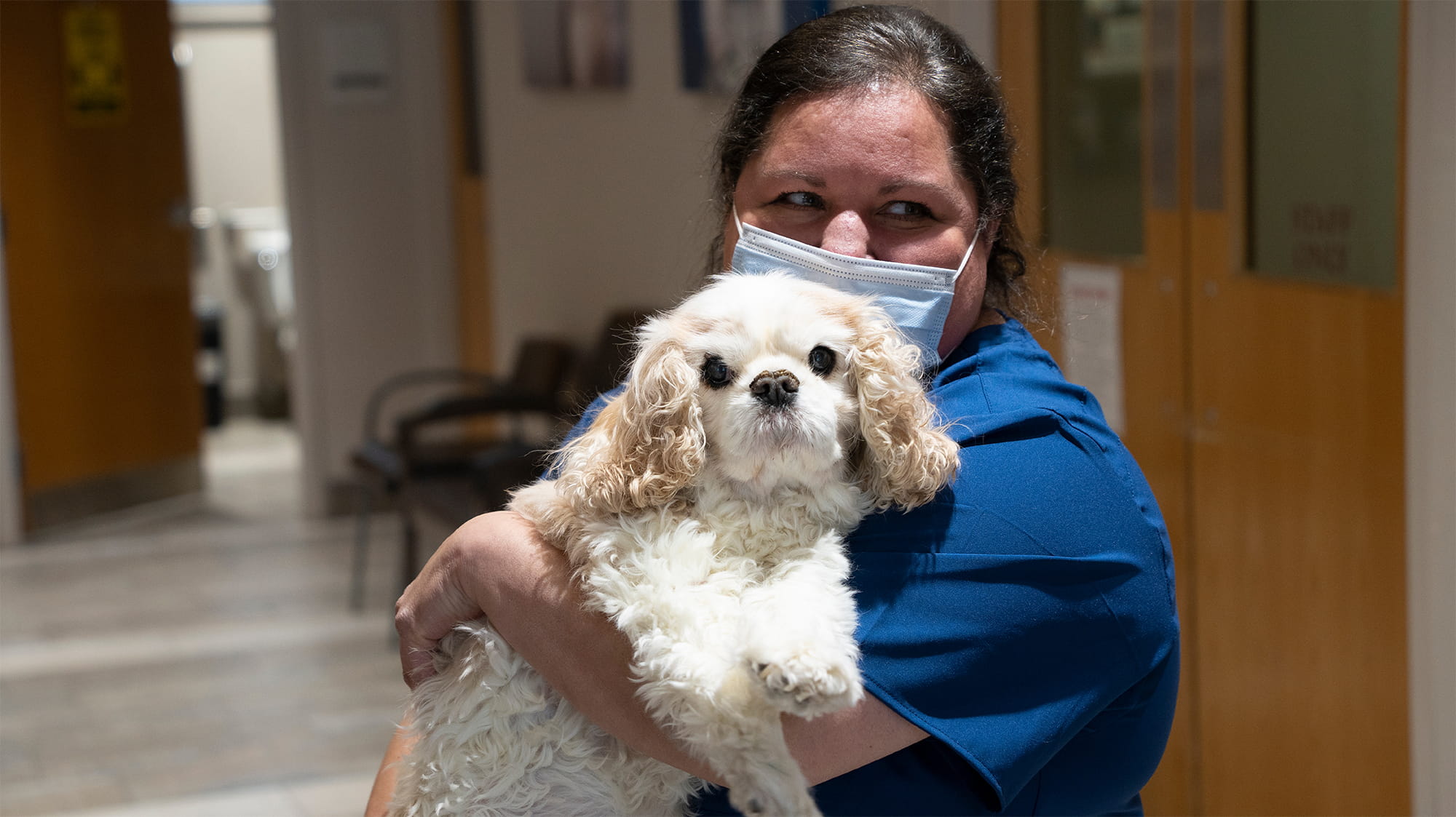 Lacy the Cavalier King Charles with VCA Staff