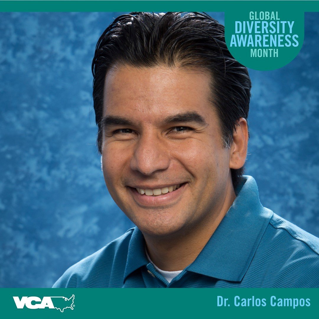 Dr. Carlos Campos