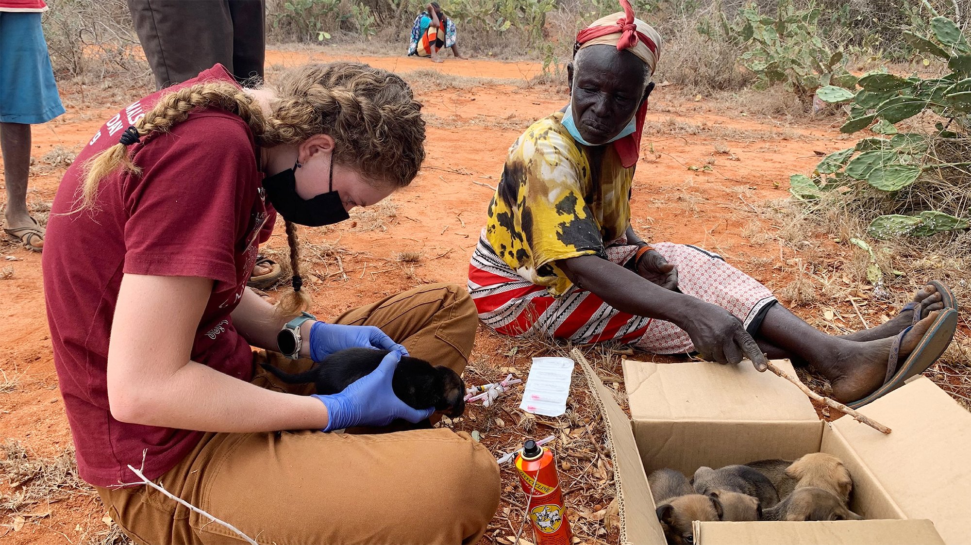 Volunteering In Africa