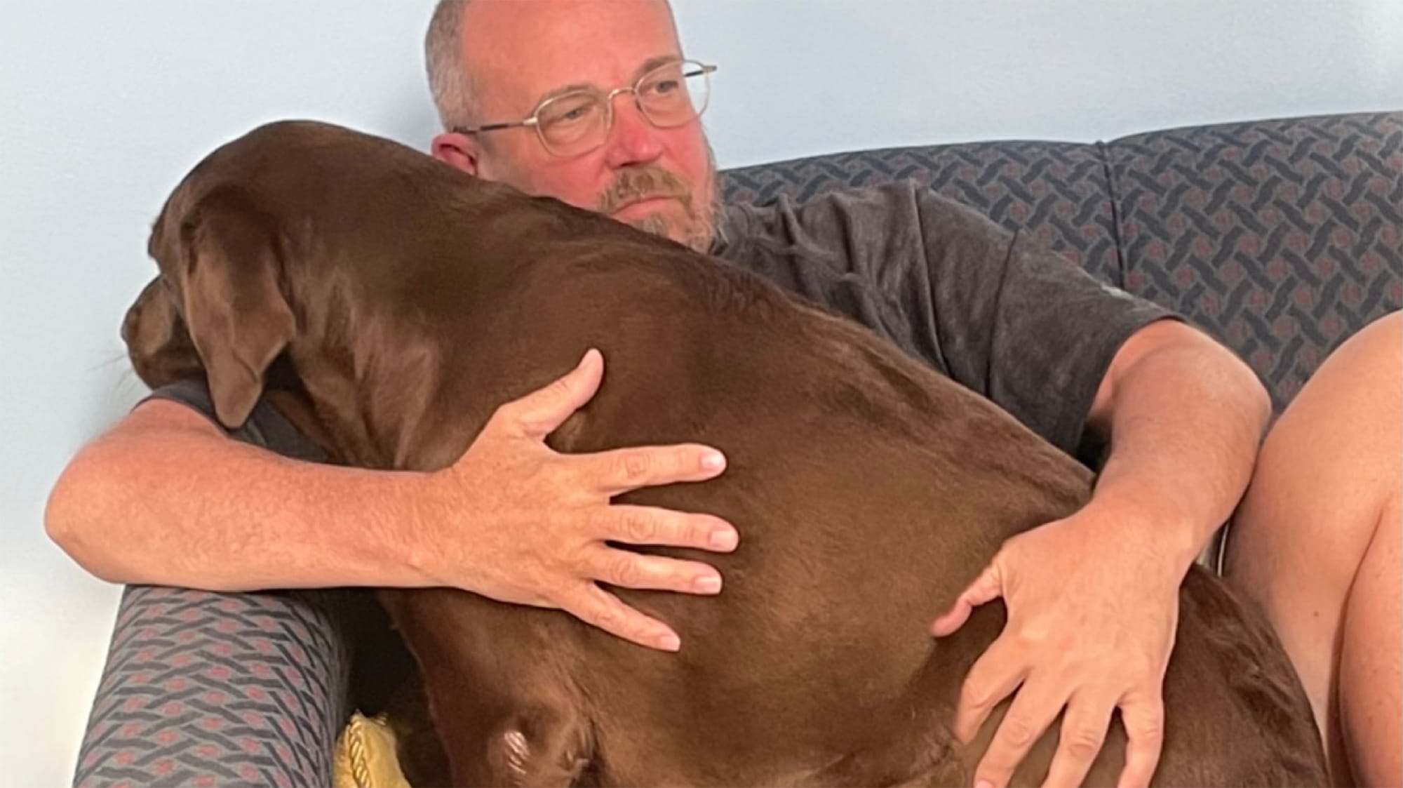 Nettie the Chocolate Lab with owner