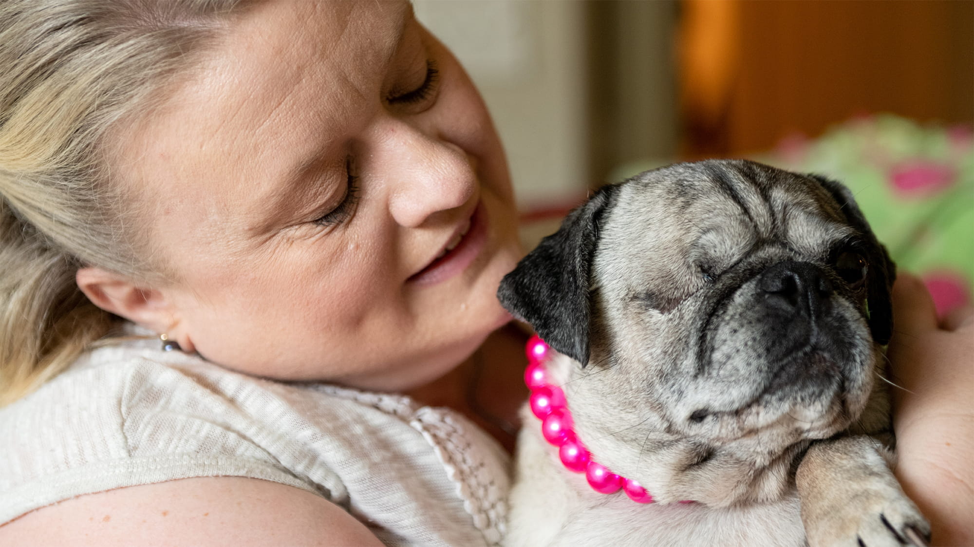 Coordinating Cancer Care With A Diva's Wardrobe: Meet Ladybug The Pug ...