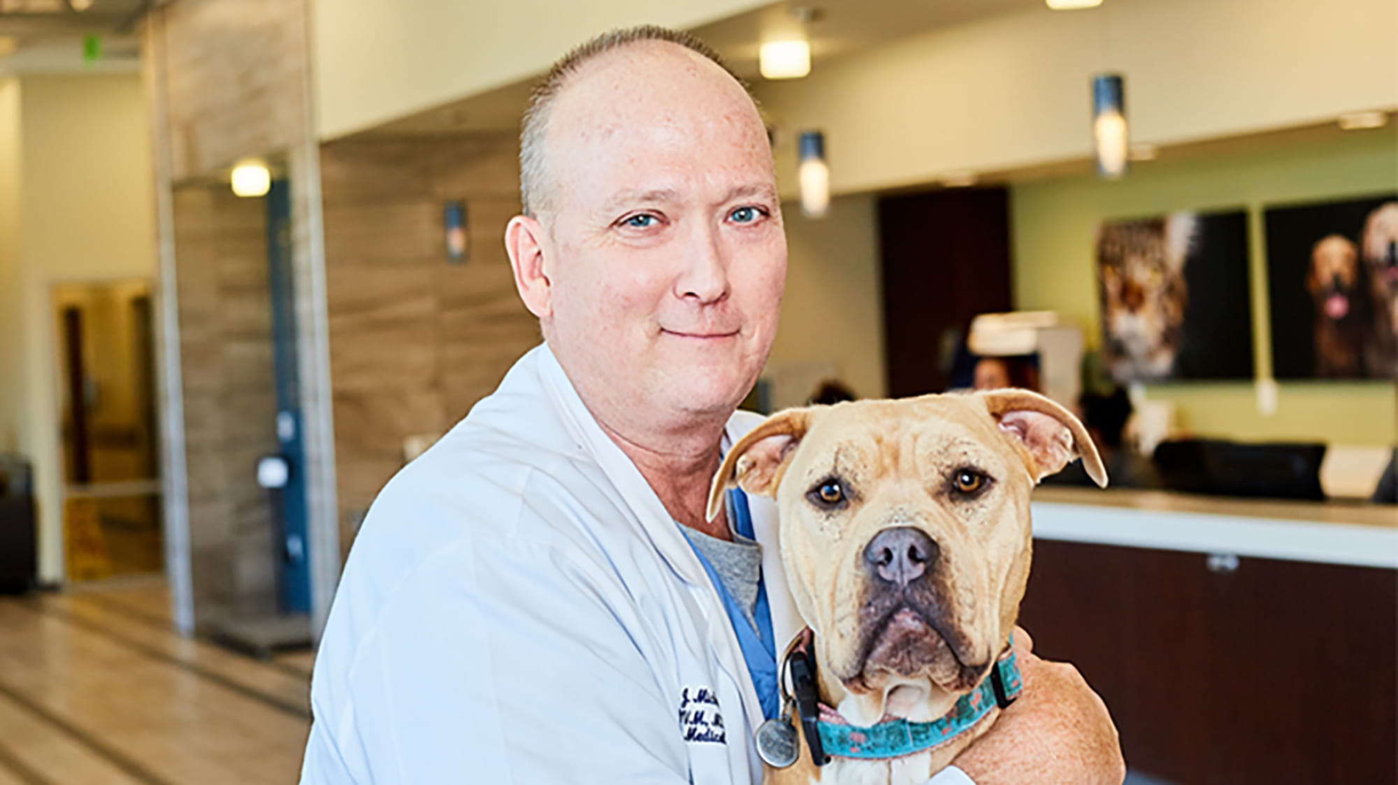 Where Can Dogs Donate Blood