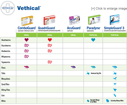 Vethical Chart