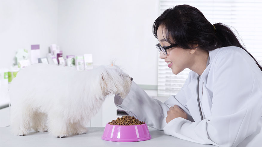 Pet care outlet nutrition