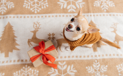 Holiday Safety Tips for Dog Owners