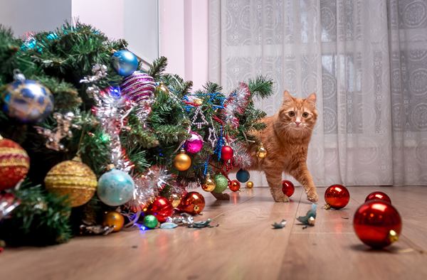 Holiday Toxins for Pets