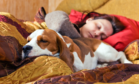 why is it good to sleep with your dog