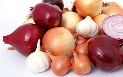 are onions harmful to dogs