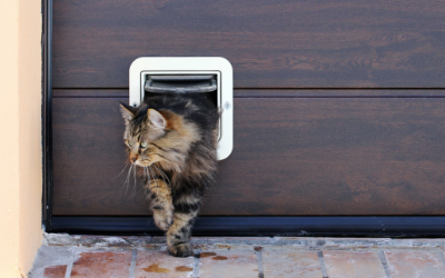 Insulated Pet Doors - Door-Mounted Dog Doors - Freedom Pet Pass
