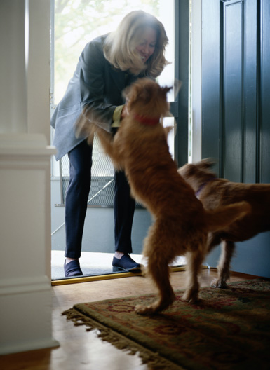 how to stop dog barking at door knocking