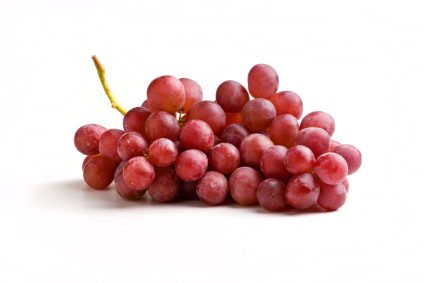 are grapes safe for dogs