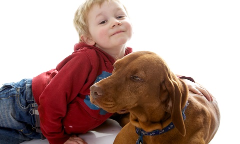dog showing aggression towards child