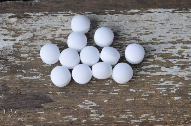 Mothball Poisoning in Dogs