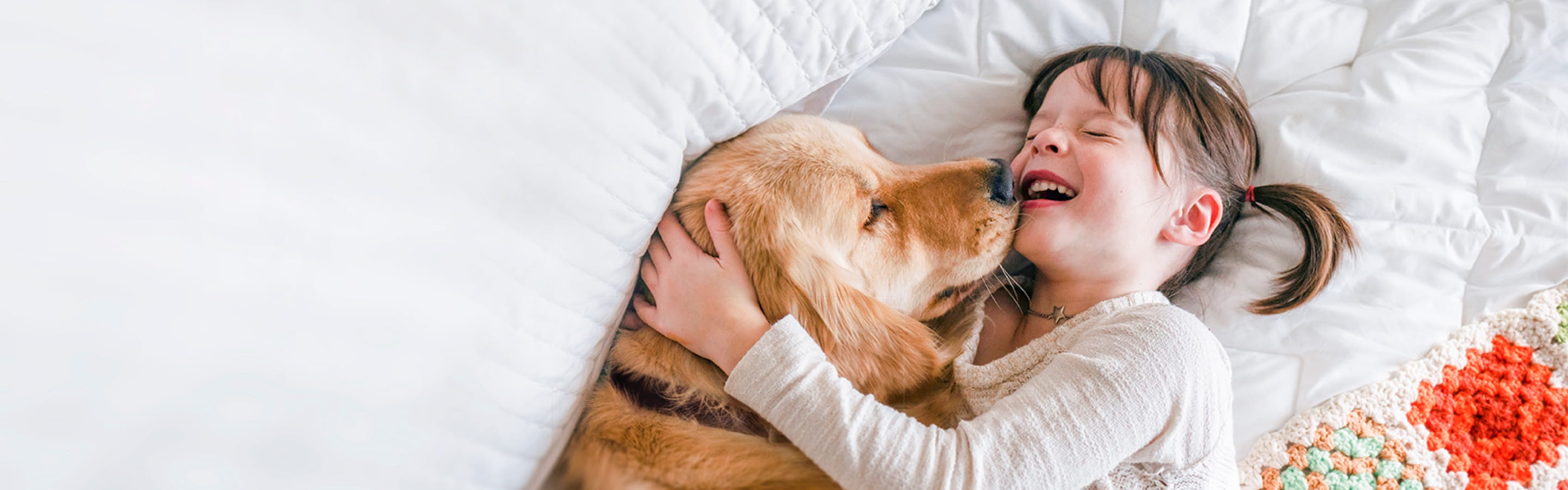 best dog cancer hospital