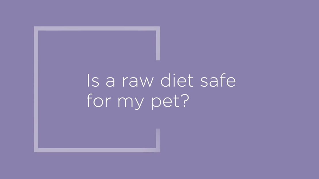 VCA Pet Cancer Alliance VCA Hospitals