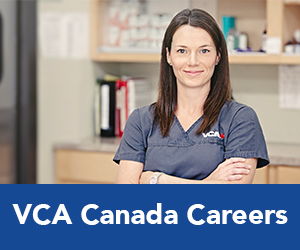 Doctor at VCA Canada