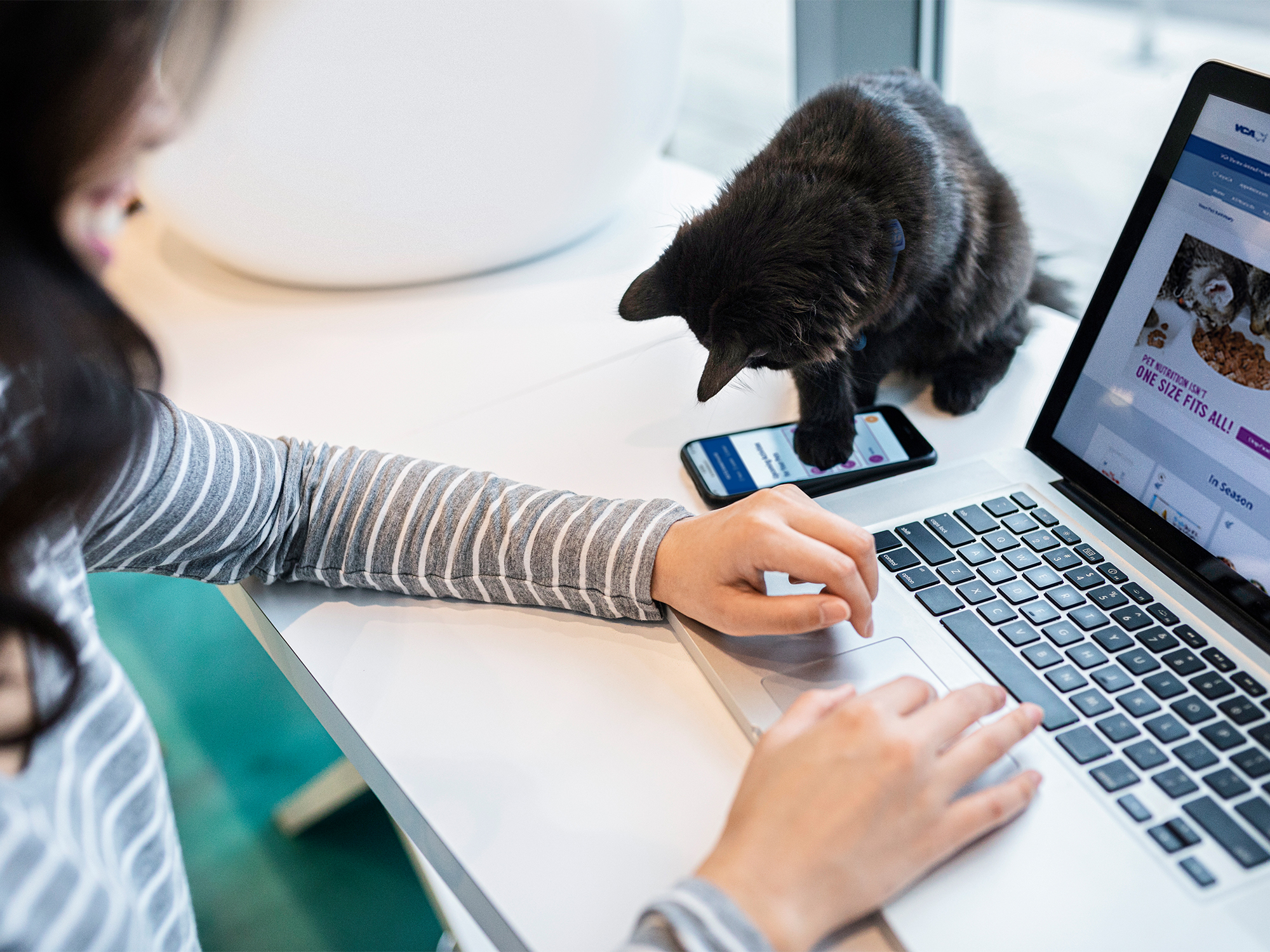 myVCA Delivers Instant Access | VCA Voice