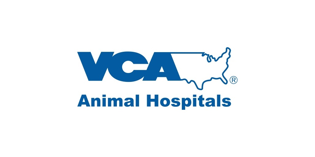Ginger  VCA Animal Hospitals