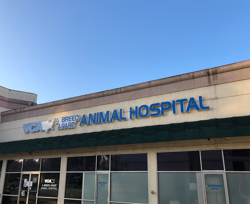 Our Hospital at A Breed Apart