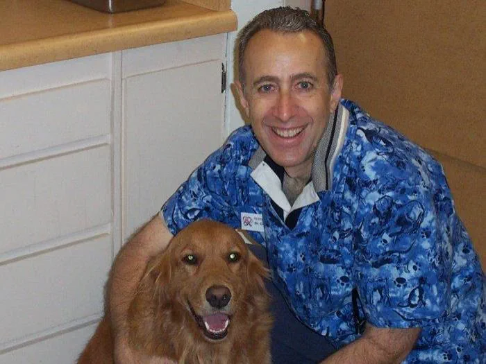 vca animal hospital north hills