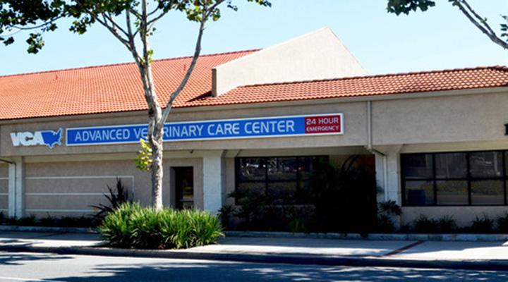 Veterinarians in Lawndale, CA | VCA Advanced Veterinary ...