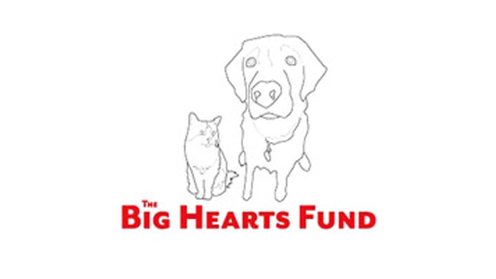 The Big Hearts Fund