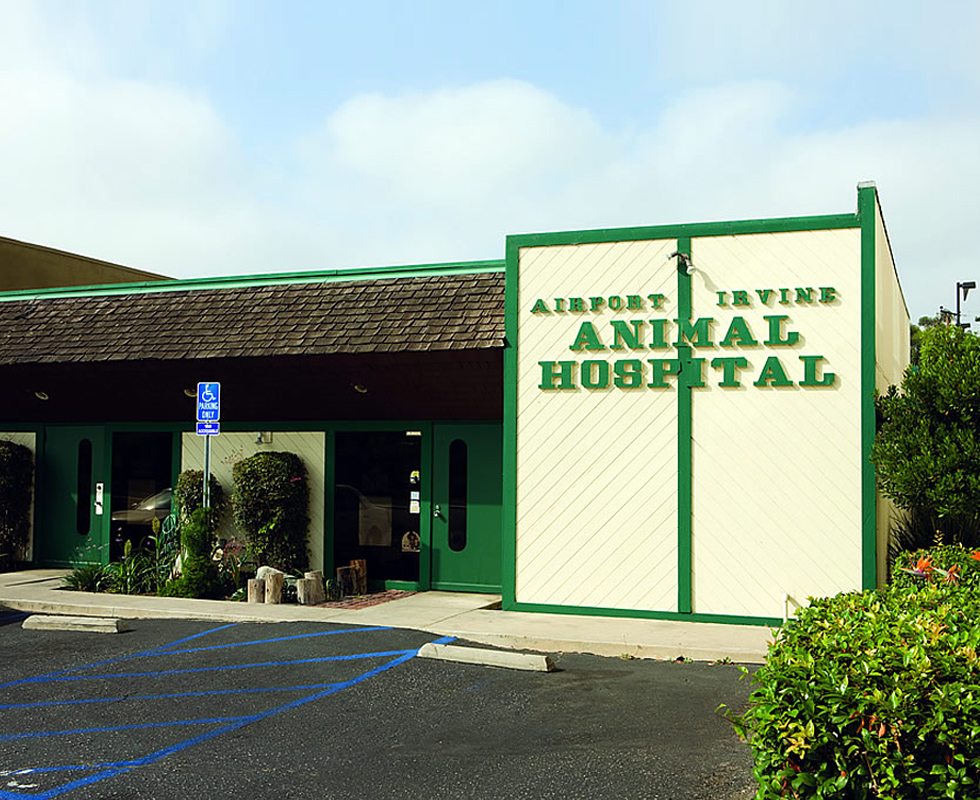 Hospital Picture of VCA Airport Irvine Animal Hospital