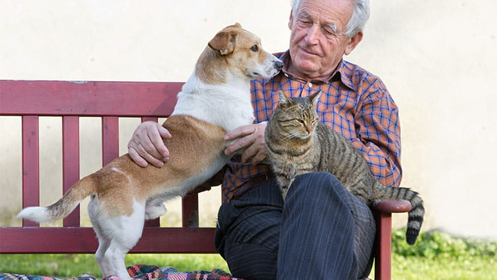 Community Partners in Denver, CO | VCA Alameda East ...