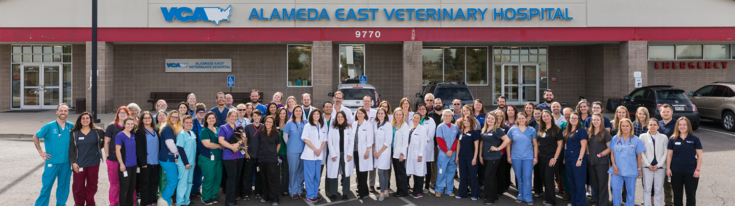 VCA Alameda East Veterinary Hospital Team Picture