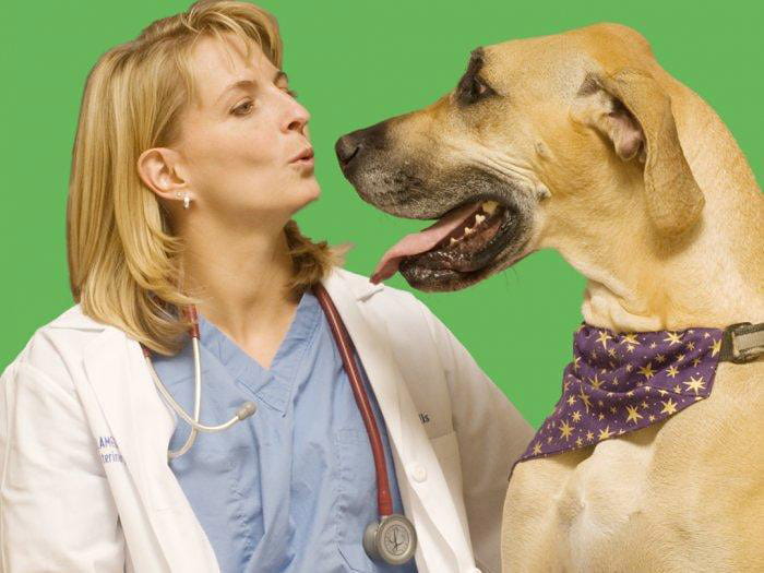 alameda east animal hospital