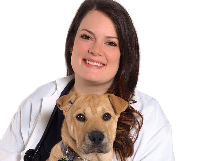 Dr. Sarah Binkerd | VCA Alameda East Veterinary Hospital