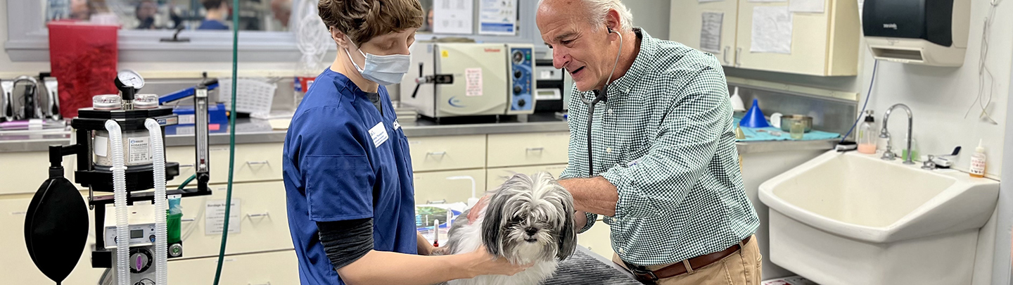 Veterinarian and assistant completing a dog exam at VCA Albemarle Veterinary Health Care Center