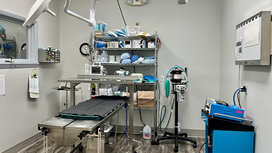 Veterinary surgical suite