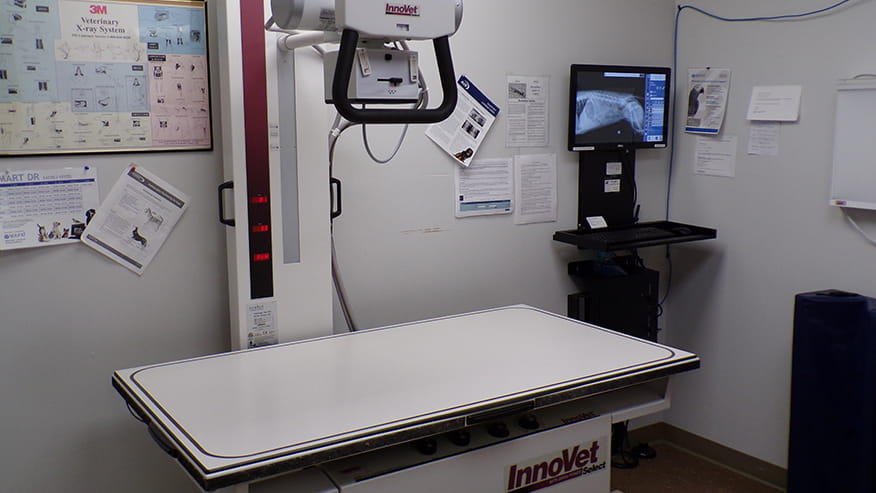 All Caring Digital Radiology