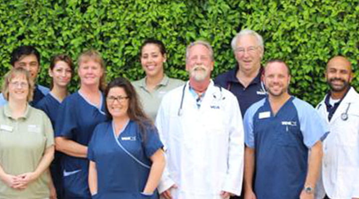 all creatures animal clinic