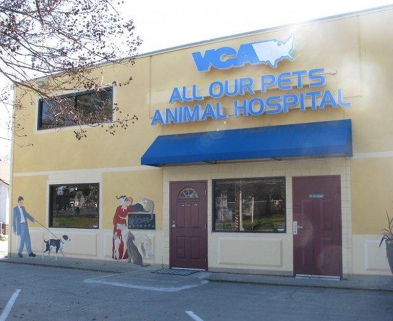 Our Hospital | VCA All Our Pets Animal Hospital