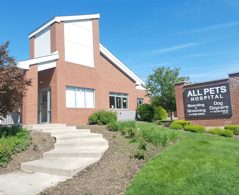 Our Hospital VCA All Pets Animal Hospital