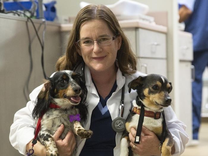 Amber Aroner Vca All Pets Animal Hospital Salinas