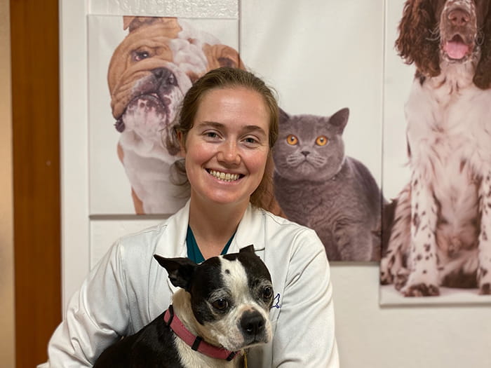 Anndrea Fling Vca All Pets Animal Hospital Salinas