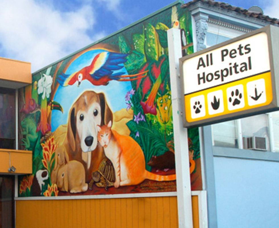 VCA All Pets Hospital San Francisco, CA building photo