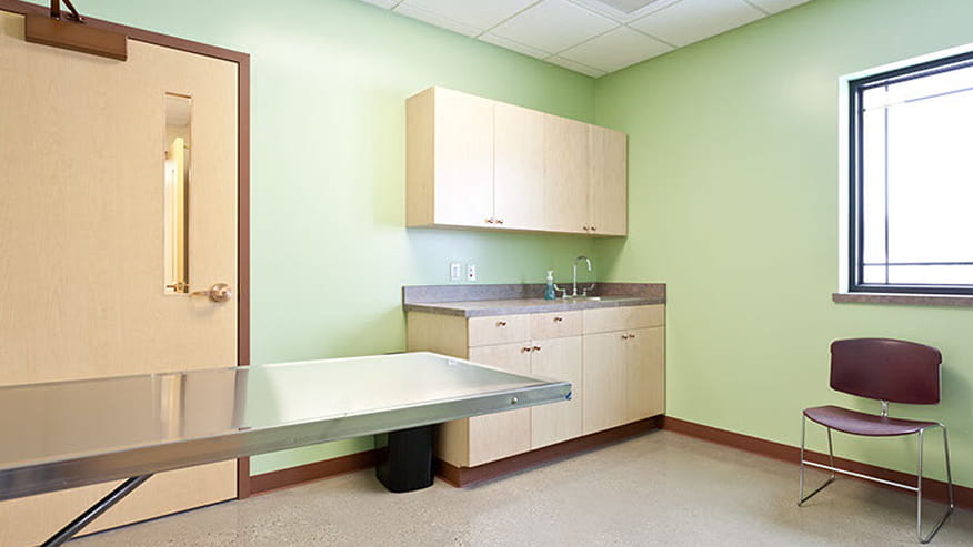 VCA Allendale Animal Hospital Exam Room
